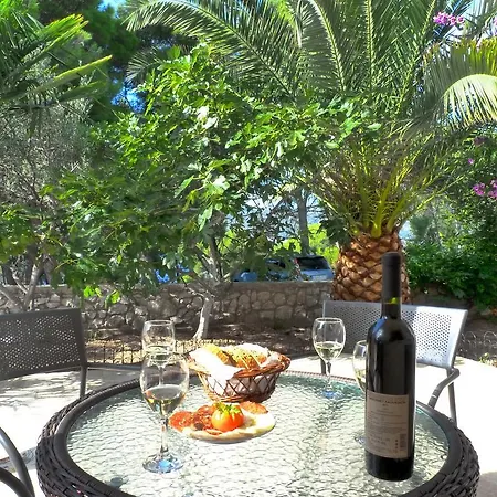 Ivankovic * تروغير