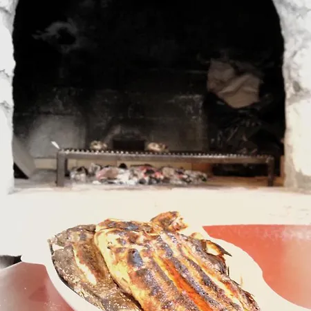 Ivankovic تروغير