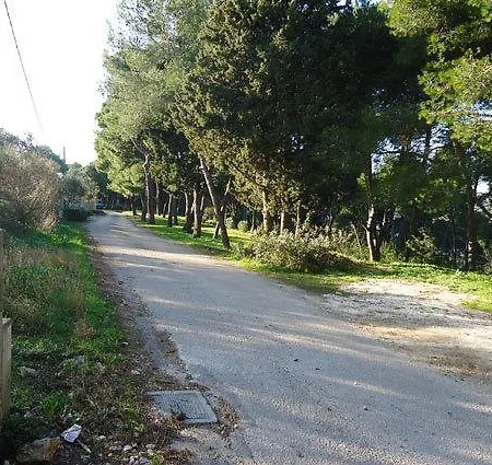 Ivankovic تروغير