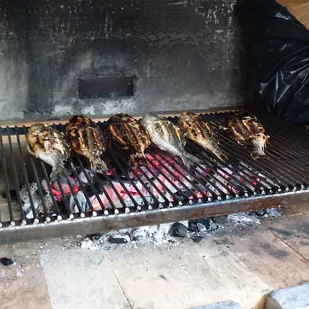 Ivankovic تروغير