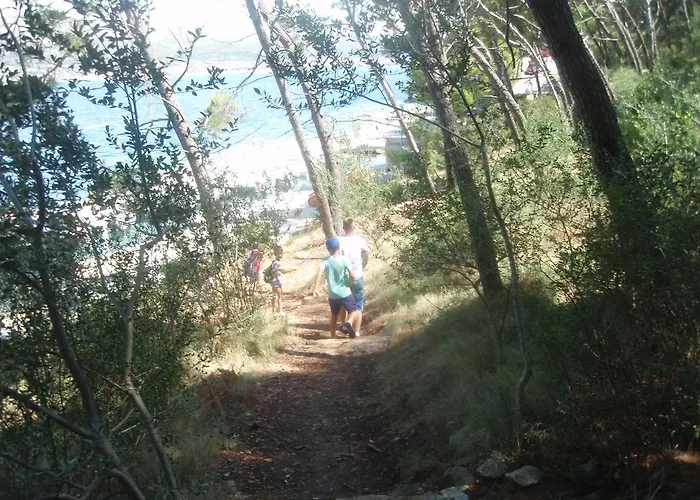 Ivankovic * 特罗吉尔