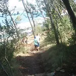 Ivankovic * Traù