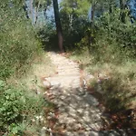 Ivankovic * Traù