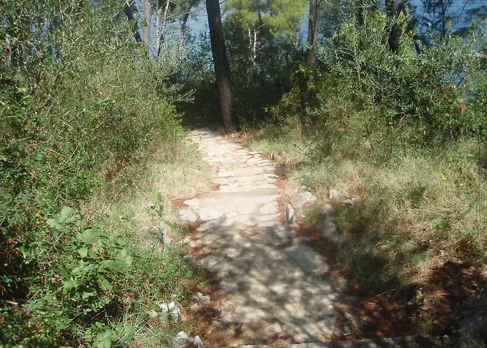 Ivankovic * Трогір